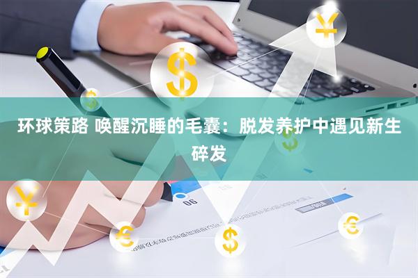 环球策路 唤醒沉睡的毛囊：脱发养护中遇见新生碎发